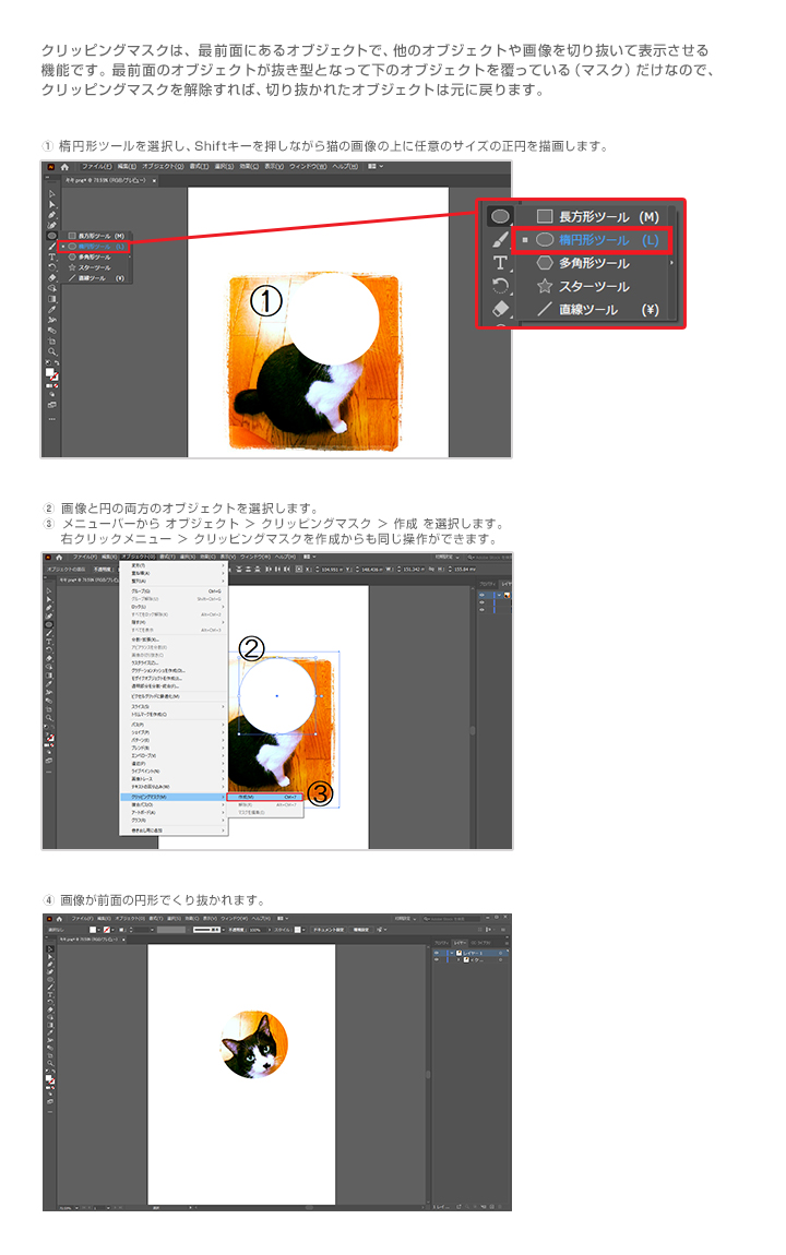 サンプル問題 Illustrator Adobe Certified Professional